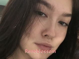 Reneblossom