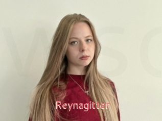 Reynagitter