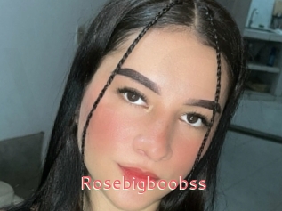 Rosebigboobss
