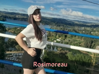 Rosimoreau
