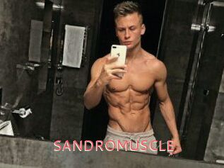 SANDRO_MUSCLE