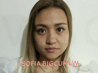 SOFIA_BIGCUMLW