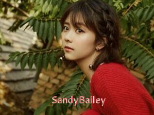 SandyBailey