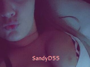 SandyD55
