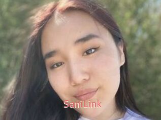 SaniLink
