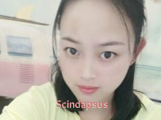 Scindapsus
