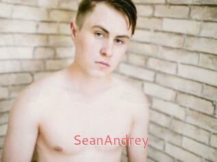 SeanAndrey Webcam Sexe Direct