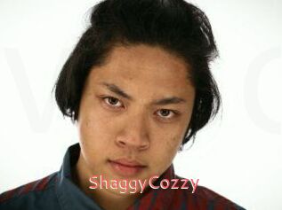 ShaggyCozzy