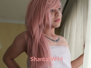 ShantalWild Webcam Sexe Direct
