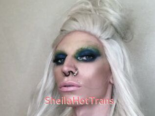 SheilaHotTrans