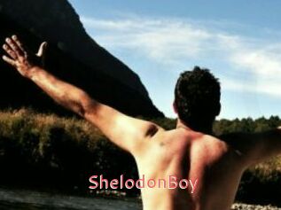 ShelodonBoy