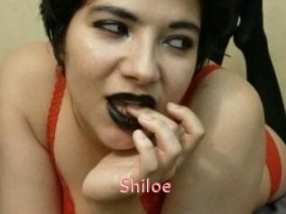 Shiloe