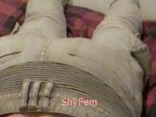 ShyFem