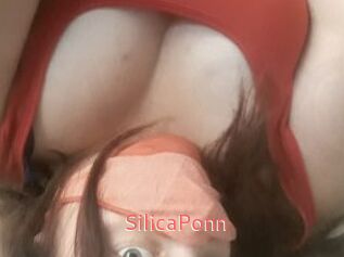 SilicaPonn