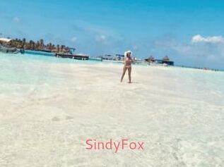 SindyFox