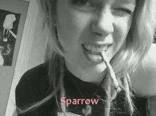 Sparrow