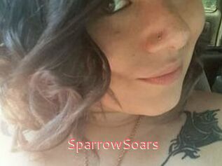 SparrowSoars
