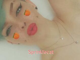 Sprinklecat