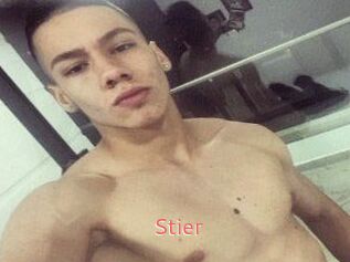 Stier