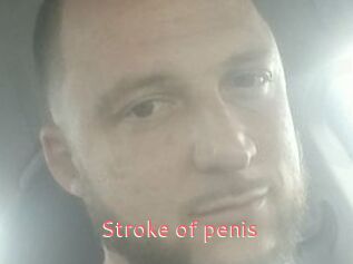 Stroke_of_penis