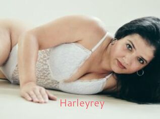 Harleyrey