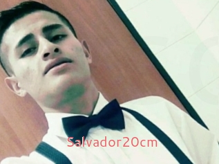 Salvador20cm