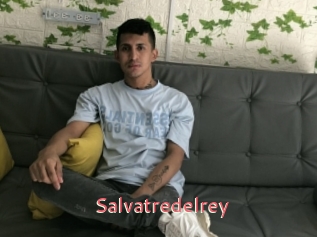 Salvatredelrey