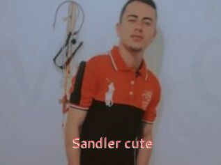 Sandler_cute