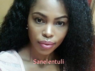 Sanelentuli