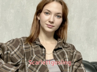 Scarlettgosling