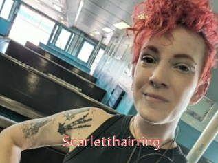 Scarletthairring