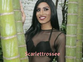 Scarlettrossee