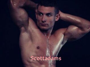 Scottadams