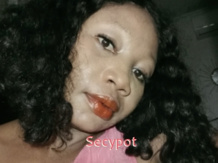 Secypot