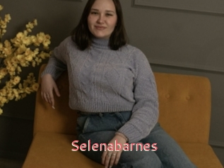 Selenabarnes