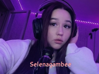 Selenagambee