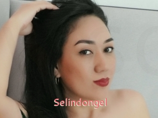 Selindongel