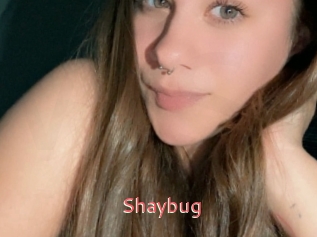 Shaybug