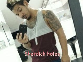 Sherdick_holes