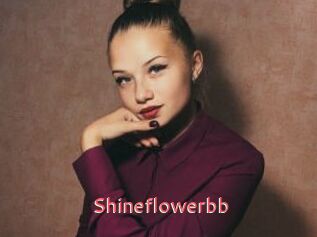Shineflowerbb