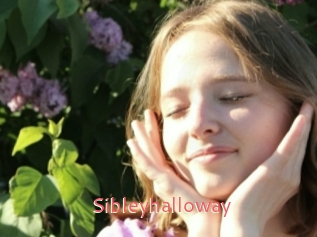 Sibleyhalloway