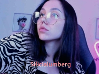 Silicialumberg