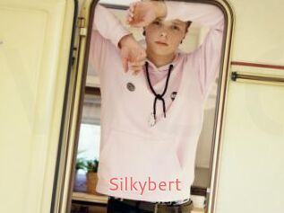 Silkybert