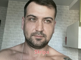 Skripa