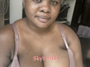 Skybirdxx
