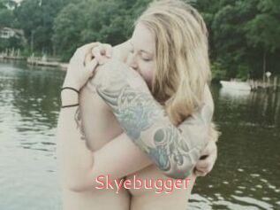 Skyebugger
