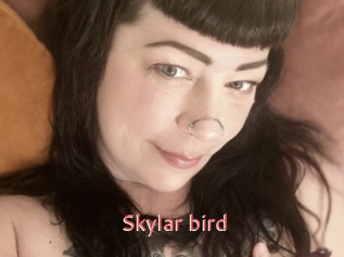 Skylar_bird