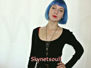 Skynetsoull