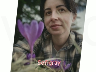 Sofi_gray