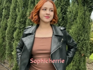 Sophicherrie